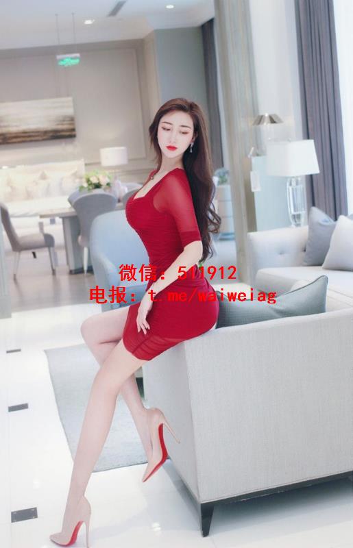 国际专业车模Nirin