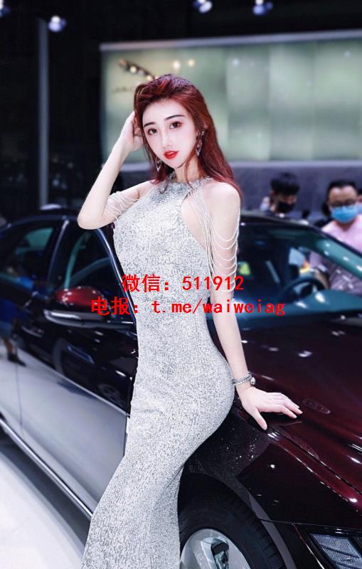 国际专业车模Nirin