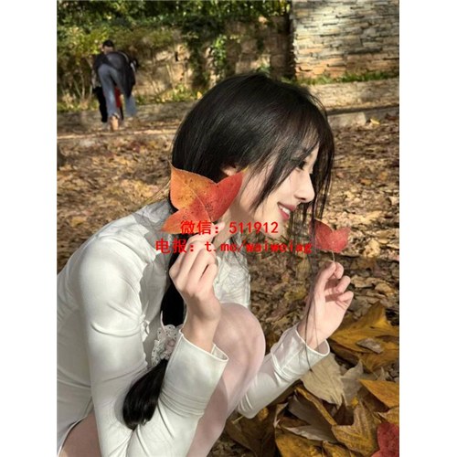 慧崽崽